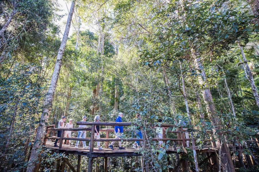 Sunshine Coast & Noosa Hinterland Scenic Culinary Experience - Winery Stop Timing: What Changes on Friday, Sunday, and Tuesday