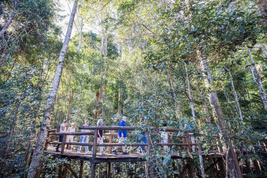 Sunshine Coast & Noosa Hinterland Scenic Culinary Experience - Secrets on the Lake: The Two-Course Lakeside Lunch Moment