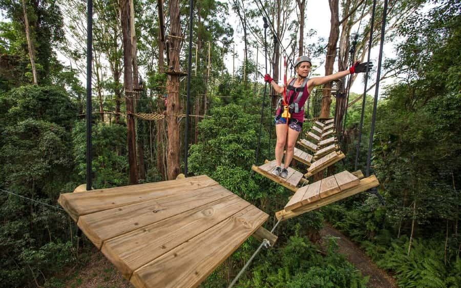 Sunshine Coast: Treetop Challenge Adventure Park - Key highlights to know before you climb