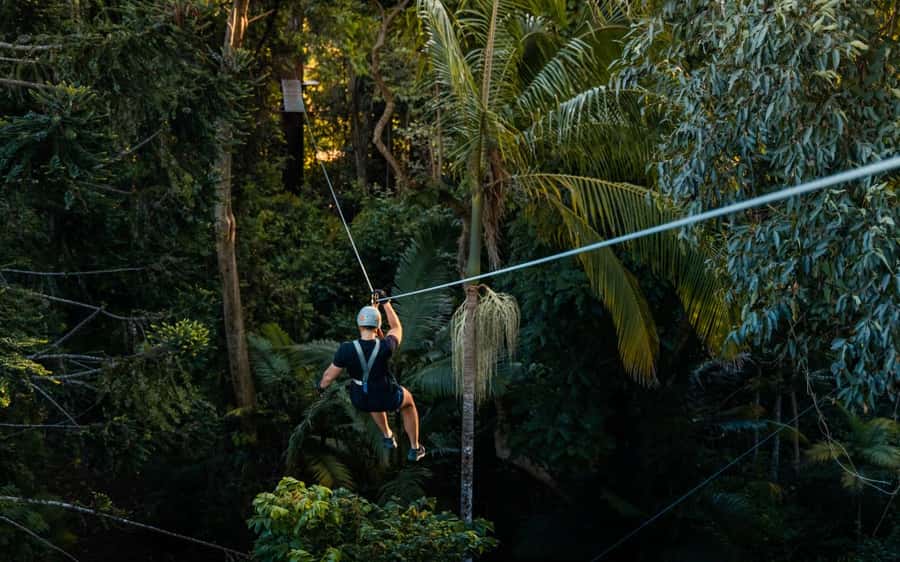 Sunshine Coast: Treetop Challenge Adventure Park - FAQ