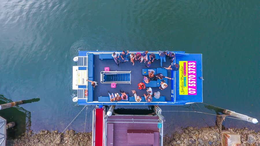 Surfers Paradise: Sightseeing Midday River and Canal Cruise - How the midday timing shapes your Gold Coast cruise