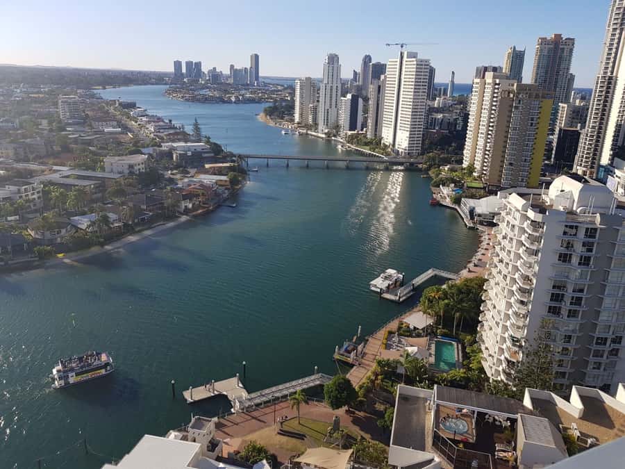 Surfers Paradise: Sightseeing Midday River and Canal Cruise - Dolphin watching on the Nerang River: the best kind of bonus