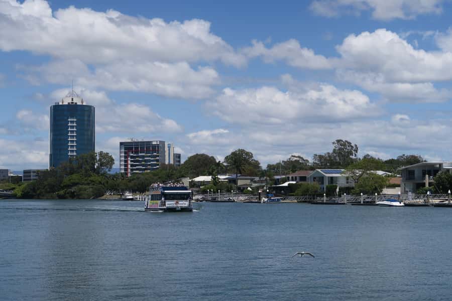 Surfers Paradise: Sightseeing Morning River and Canal Cruise - Dolphins and wildlife: what you can hope for, and how to watch