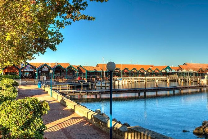 Swan River Scenic Cruise - The onboard setup: bar facilities, seating, and comfort tips