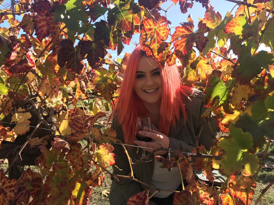 Swan Valley Full-Day Winery Experience with Lunch from Perth - Chocolate Company: the sweet finale you actually remember