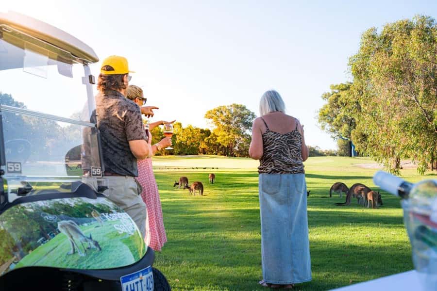 Swan Valley: Golf Cart Kangaroo Safari w/ Mini Golf & Drink - Key highlights at a glance