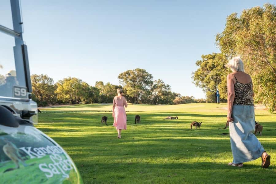 Swan Valley: Golf Cart Kangaroo Safari w/ Mini Golf & Drink - Riding the fairways on a golf cart safari