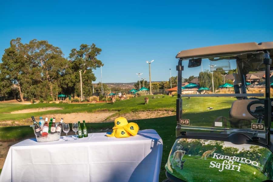 Swan Valley: Golf Cart Kangaroo Safari w/ Mini Golf & Drink - Practical tips to get better kangaroo sightings and better mini golf