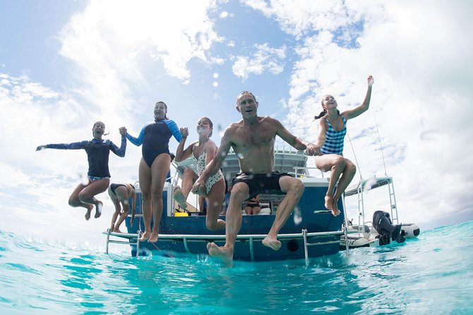 Swim with Whale Sharks in the Ningaloo Reef: 3 Island Shark Dive - The Other Marine Life You Can Actually Plan For