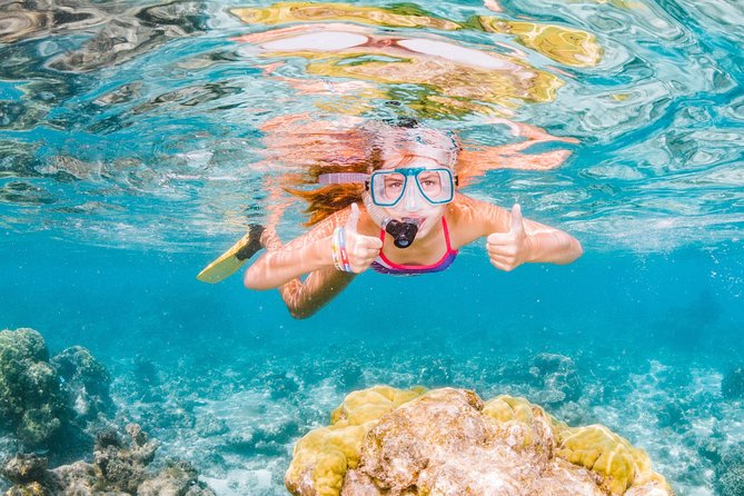 Swimming with the Whale Sharks - Ningaloo Reef (Exmouth) - Ningaloo Reef in Exmouth: why whale shark days are so special