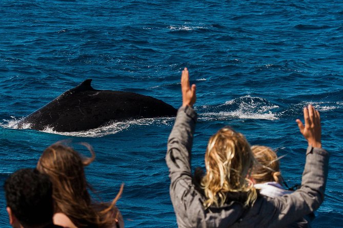 Swimming with the Whale Sharks - Ningaloo Reef (Exmouth) - Getting ready: packing list for sun, spray, and quick changes