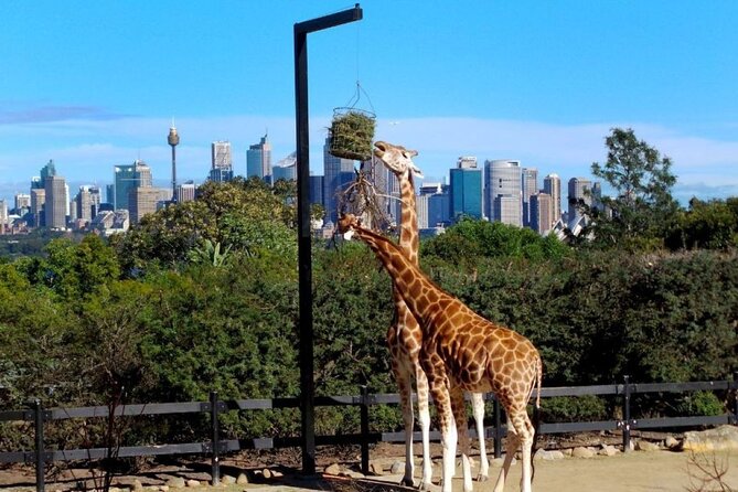 Sydney 3, 5, or 7 Ticket Flexi Pass - Wildlife, aquarium, and family-friendly wins