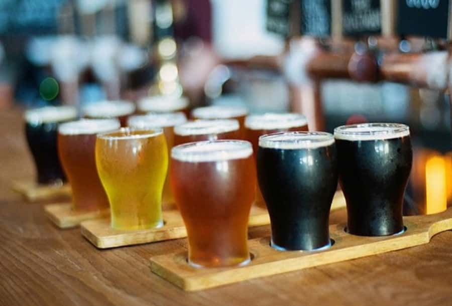Sydney: 3-Hour Craft Beer and Breweries Tour - Meeting at Keg & Brew Hotel in Surry Hills
