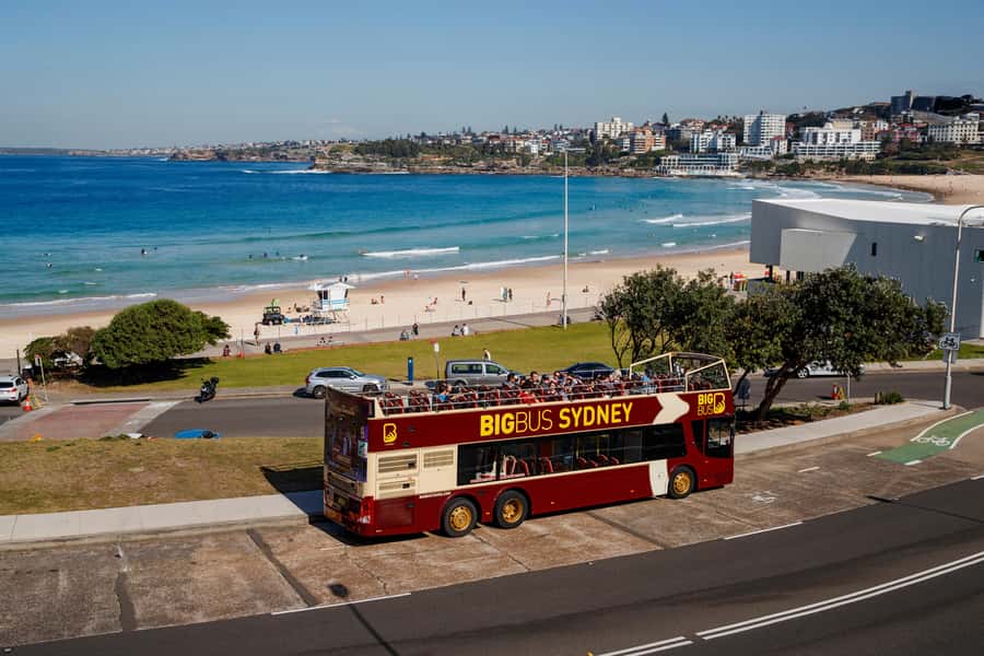 Sydney: Big Bus Hop-On Hop-Off Tour with Optional Cruise - City Route (Red): Opera House and Harbour Bridge viewpoints, on your schedule