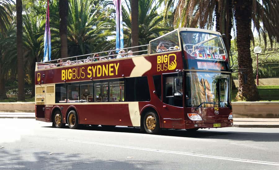 Sydney: Big Bus Hop-On Hop-Off Tour with Optional Cruise - The Captain Cook harbour cruise: where the skyline photos come from