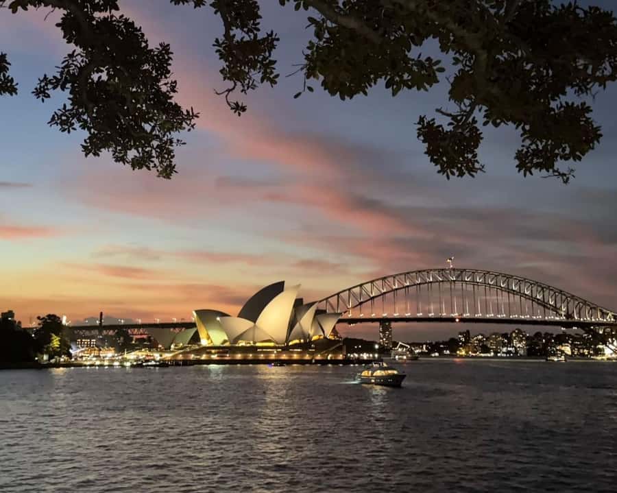 Sydney: Big Bus Panoramic Night Tour by Open-Top Bus - Where It Starts: Phillip Street and Circular Quay, Plus Two Evening Departures