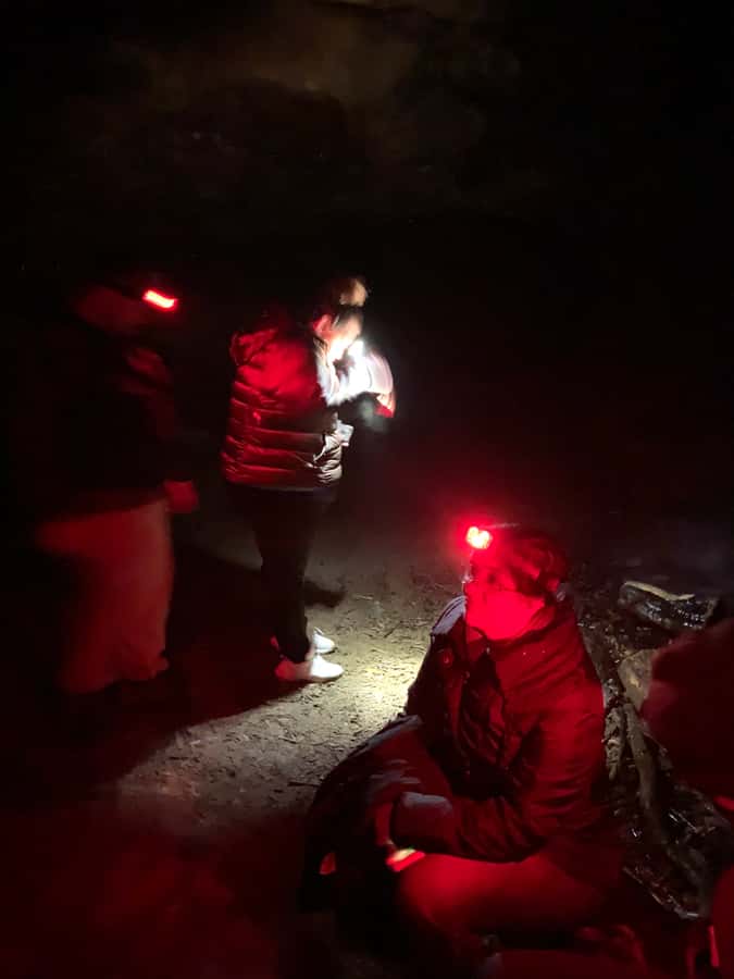 Sydney: Blue Mountains Glow Worms Wild Adventure by Night - Glow worm basics you will actually remember