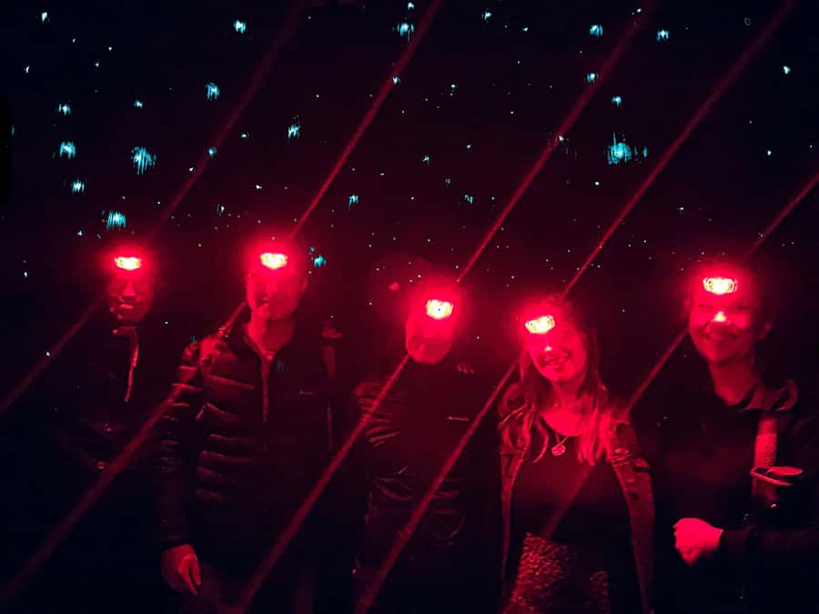 Sydney: Blue Mountains Glow Worms Wild Adventure by Night - Group size and transport comfort on a 5-hour schedule