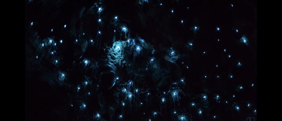 Sydney: Blue Mountains Glow Worms Wild Adventure by Night - What to bring (and what to leave in the van)