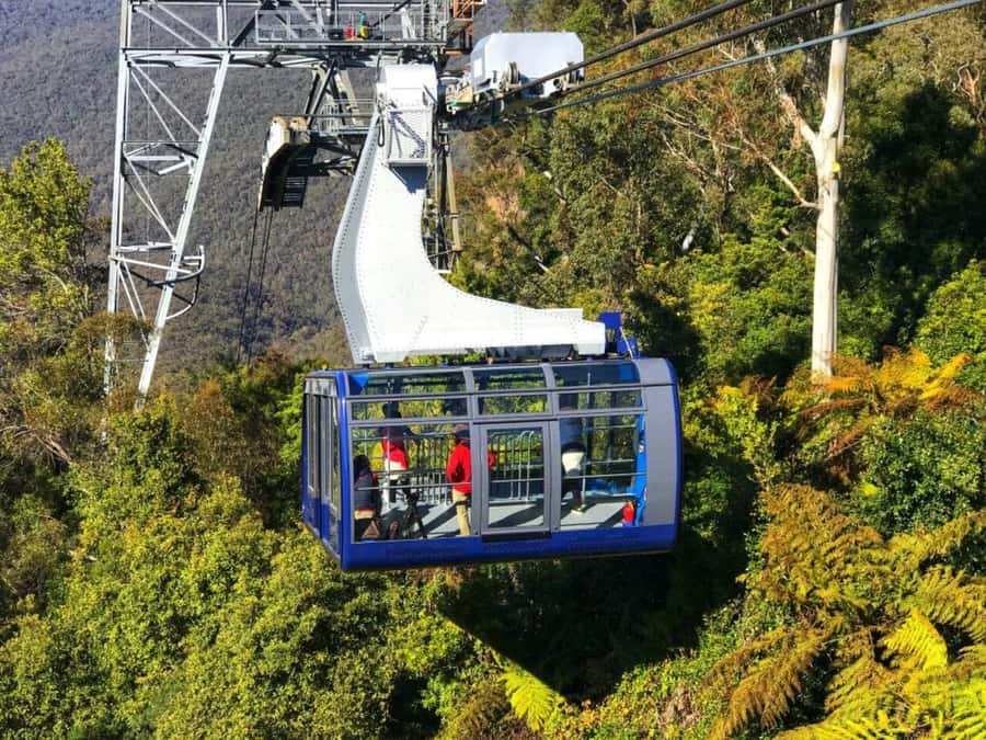 Sydney: Blue Mountains Half Day Scenic World & Lookout Tour - A smart half-day style escape from Sydney