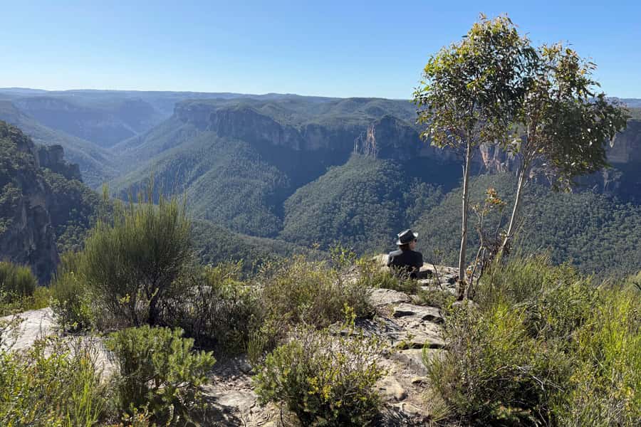 Sydney: Blue Mountains Kangaroos, Wilderness and Sunset Tour - Leura and Katoomba: Scenic Drives That Break Up the Hikes