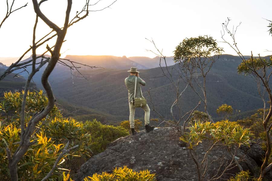 Sydney: Blue Mountains Kangaroos, Wilderness and Sunset Tour - Wildlife Viewing: Why the Guide’s Local Practice Changes Everything