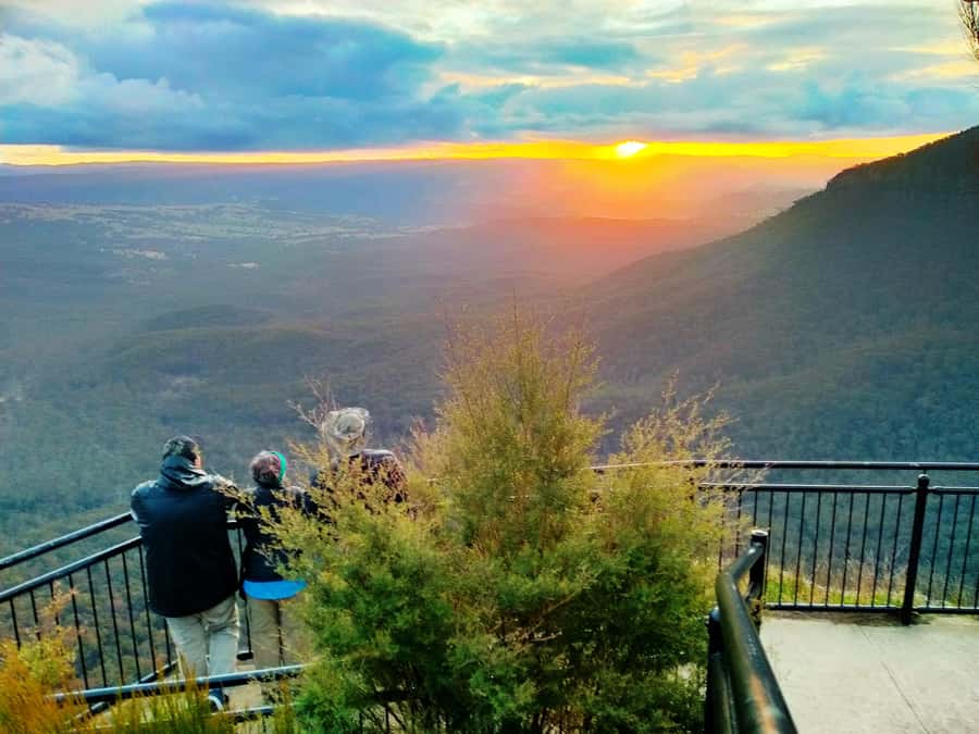 Sydney: Blue Mountains Late Start: Walks, Wildlife & Dinner - Calmsley Hill City Farm: your koala and wildlife warm-up