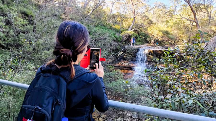 Sydney: Blue Mountains Late Start: Walks, Wildlife & Dinner - Wentworth Falls: lunch first, then a proper walk