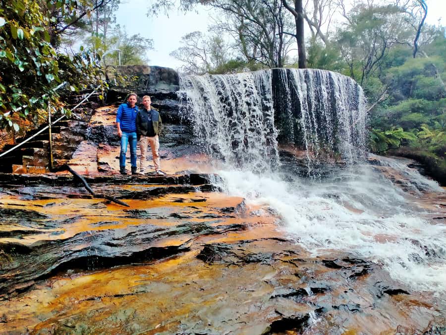 Sydney: Blue Mountains Late Start: Walks, Wildlife & Dinner - Price and value: what $210 includes, and why it may cost less than you think