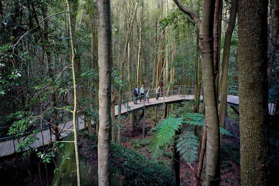 Sydney: Blue Mountains National Park Tour with River Cruise - Homebush Bay and the Parramatta River ferry finish