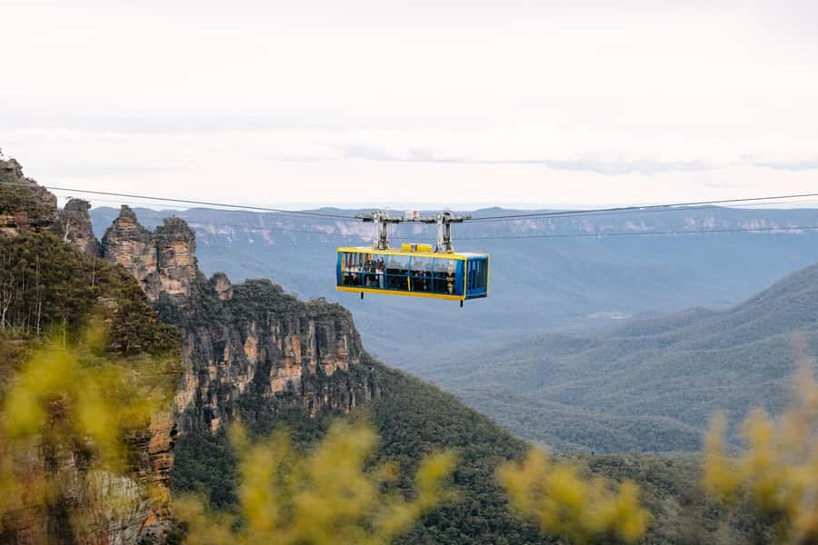 Sydney: Blue Mountains Scenic World, Wildlife Park and Lunch - Featherdale Wildlife Park: Kangaroos, Koalas, and Up-Close Animal Time