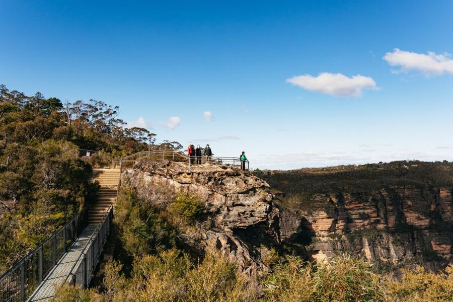 Sydney: Blue Mountains Wildlife & Bushwalk Small-Group Tour - Price and value: why $133 works when you factor in what you get