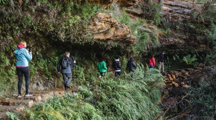 Sydney: Blue Mountains Wildlife & Bushwalk Small-Group Tour - Getting out of Sydney, without losing half your day to logistics