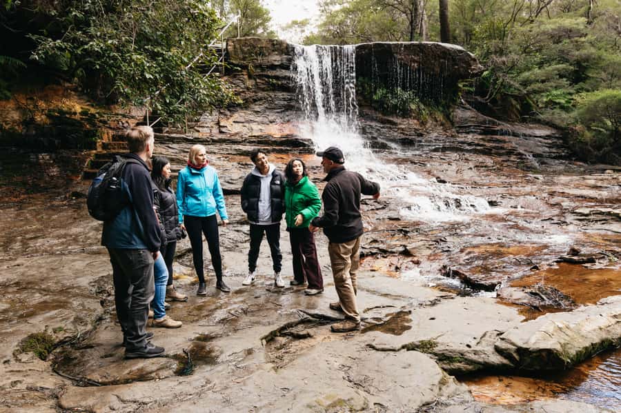 Sydney: Blue Mountains Wildlife & Bushwalk Small-Group Tour - Jamison Valley and National Park viewpoints for the finishing touch