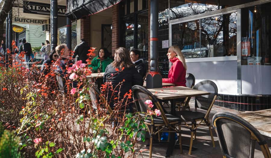 Sydney: Blue Mountains Wildlife & Bushwalk Small-Group Tour - Comfort, fitness, and what the tour does not allow