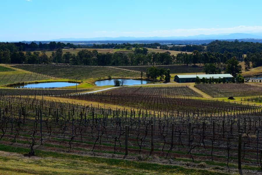 Sydney: Chef-Led Hunter Valley Food & Wine Tour - Starting at Sydney Fish Market, not at the end of your morning