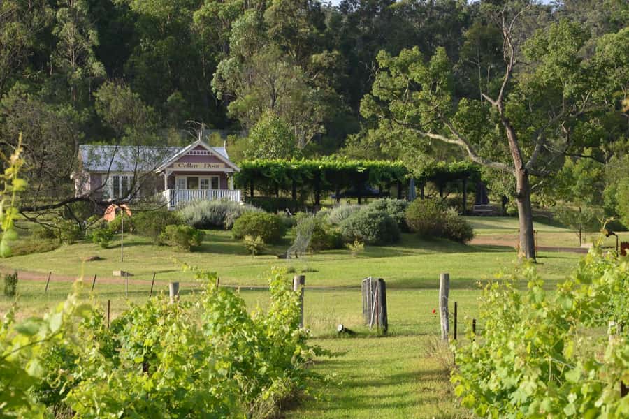 Sydney: Chef-Led Hunter Valley Food & Wine Tour - Chef Jimmy in control, food and wine pairing that makes sense