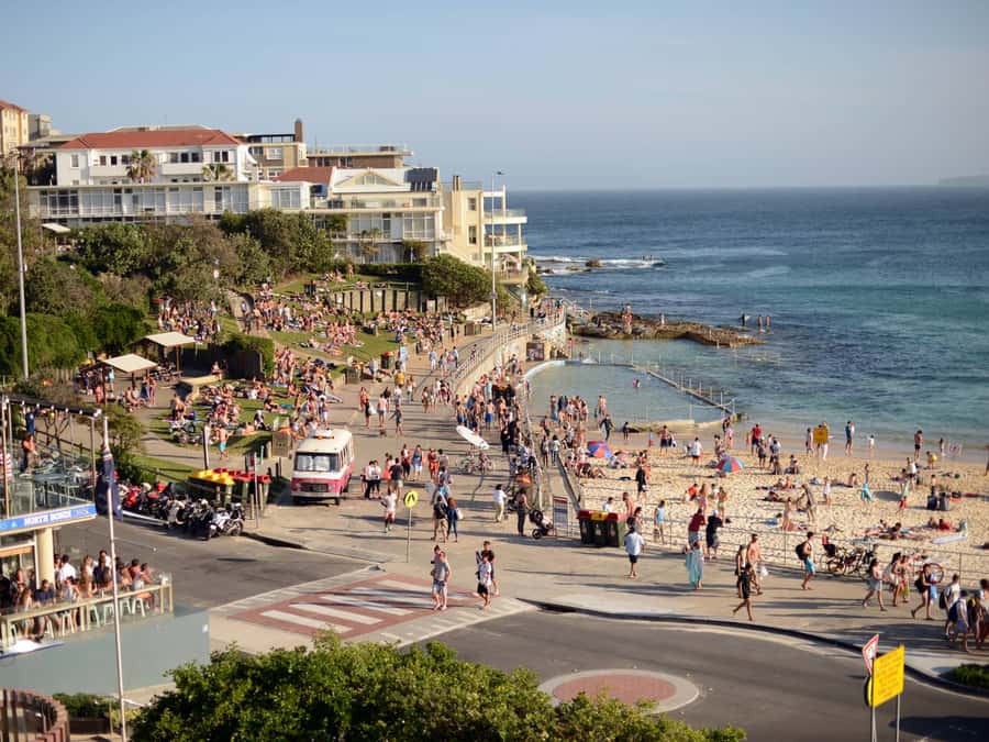 Sydney: City Highlights Guided Bus Tour - Mrs. Macquarie’s Point and Fort Denison: harbour views without the logistics
