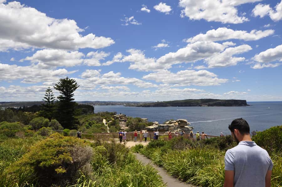 Sydney: City Highlights Guided Bus Tour - Bondi Beach for 35 minutes: how to use the time well