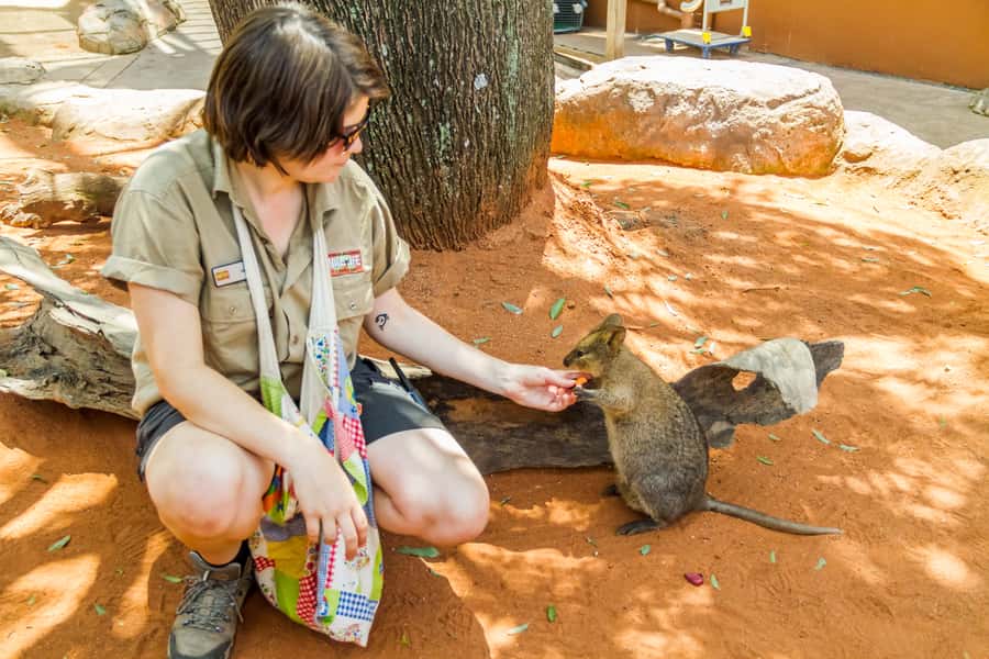Sydney: Combo Pass for 2, 3, or 4 Top City Attractions - Practical Stuff to Know Before You Go