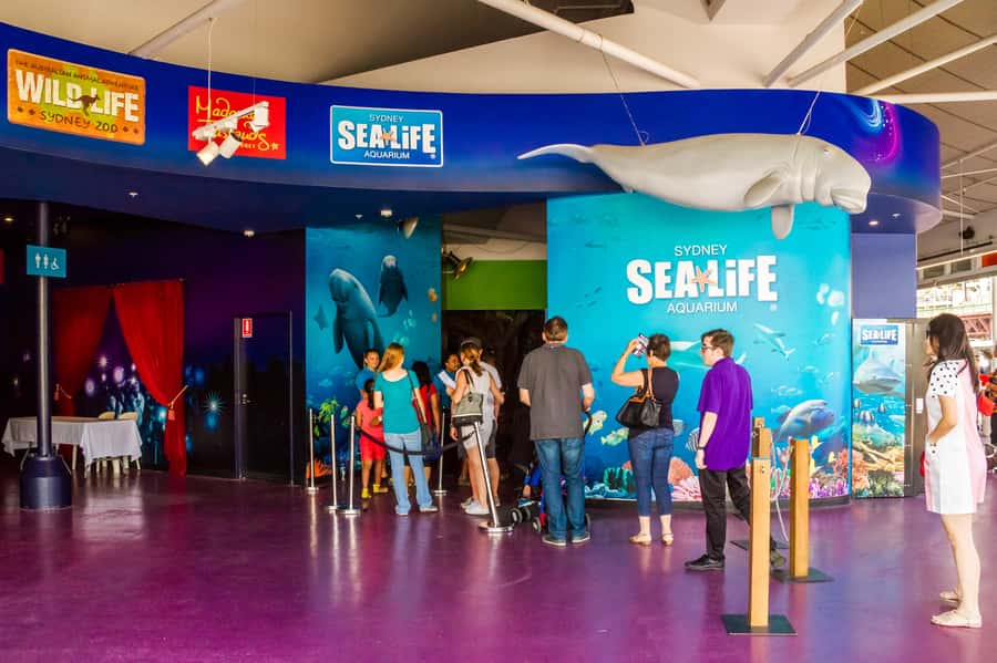 Sydney: Combo Pass for 2, 3, or 4 Top City Attractions - Why Starting at SEA LIFE Sydney Makes the Whole Plan Easier