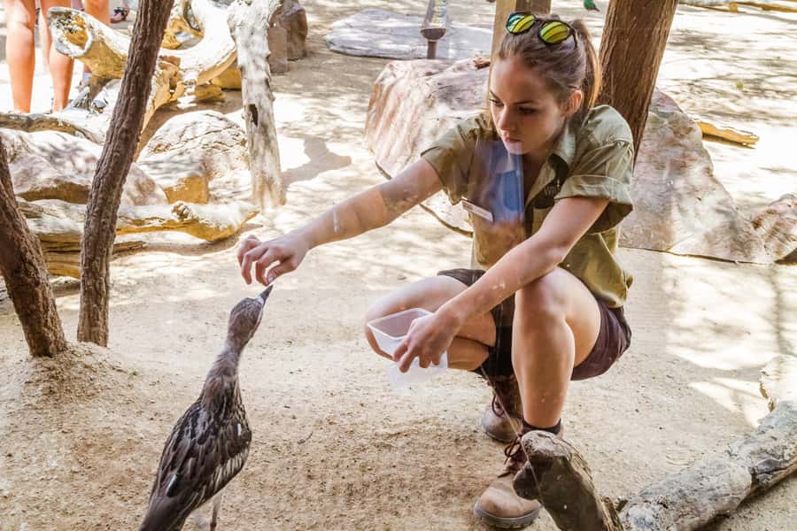 Sydney: Combo Pass for 2, 3, or 4 Top City Attractions - Madame Tussauds Sydney: Quick Fun Between Other Stops