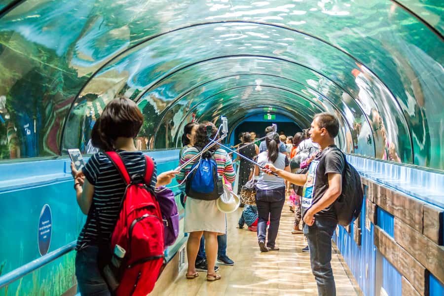 Sydney: Combo Pass for 2, 3, or 4 Top City Attractions - Price and Value: What You Really Get for $38