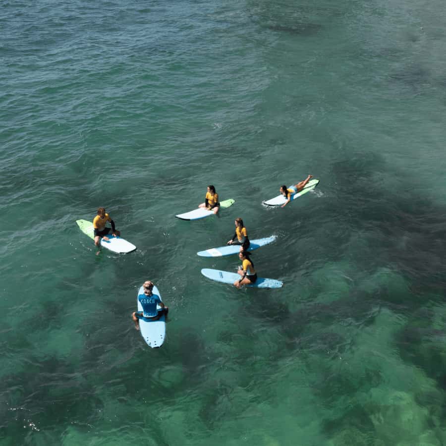 Sydney: Dee Why Beach Group Surfing Lesson - Coaching focus: paddling, pop-up, positioning, and turning