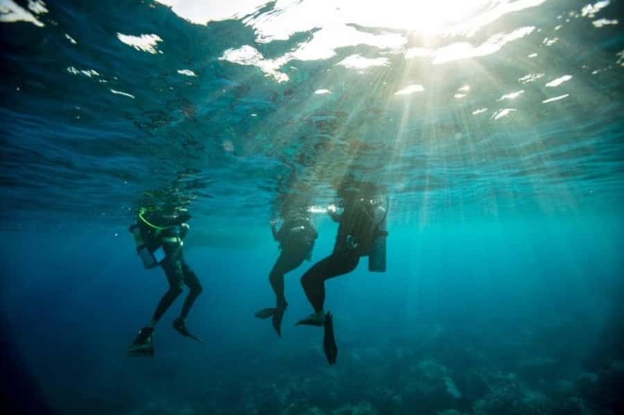 Sydney: Discover Scuba Dive at Australia's most Iconic Beach - Key Points At A Glance