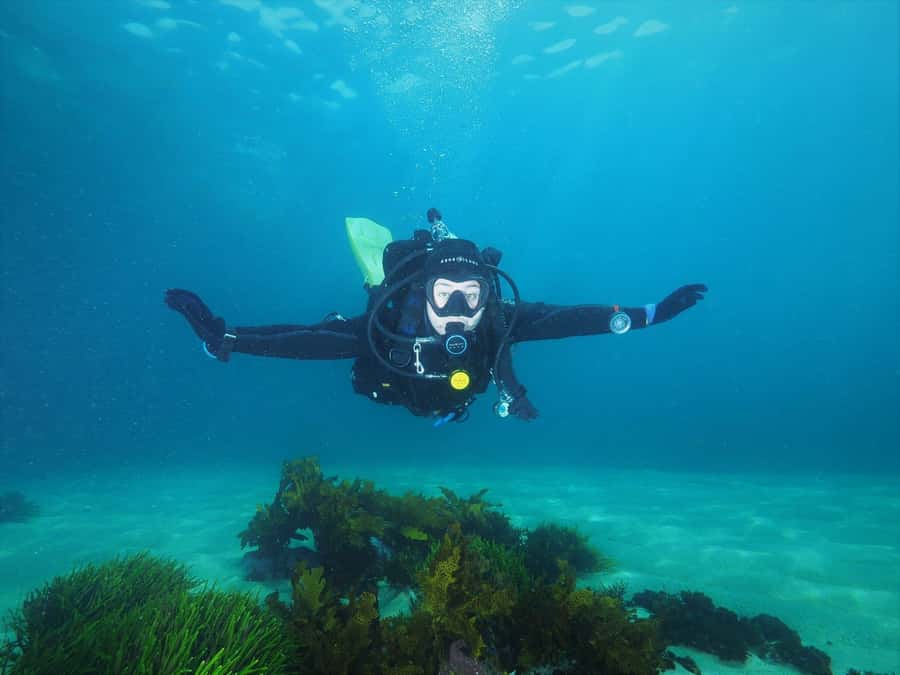 Sydney: Discover Scuba Dive at Australia's most Iconic Beach - The One-Hour Ocean Session Off Bondi