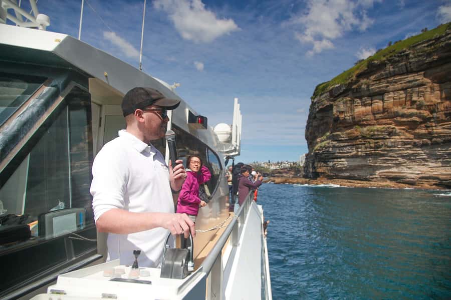 Sydney: Discovery Whale Watching Tour by Catamaran - The whale hunt: how the crew finds activity and keeps you watching