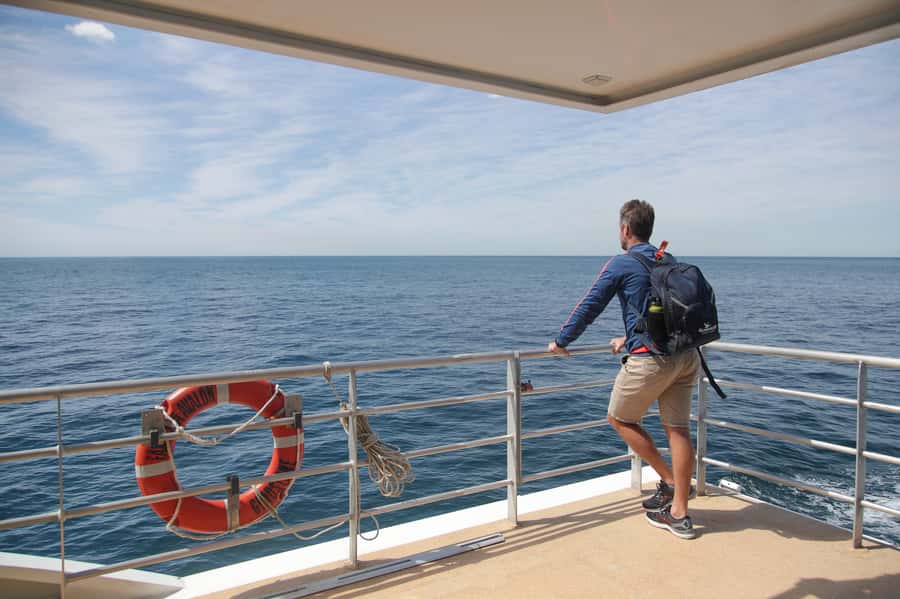 Sydney: Discovery Whale Watching Tour by Catamaran - Onboard photographer: getting the shot without juggling your camera