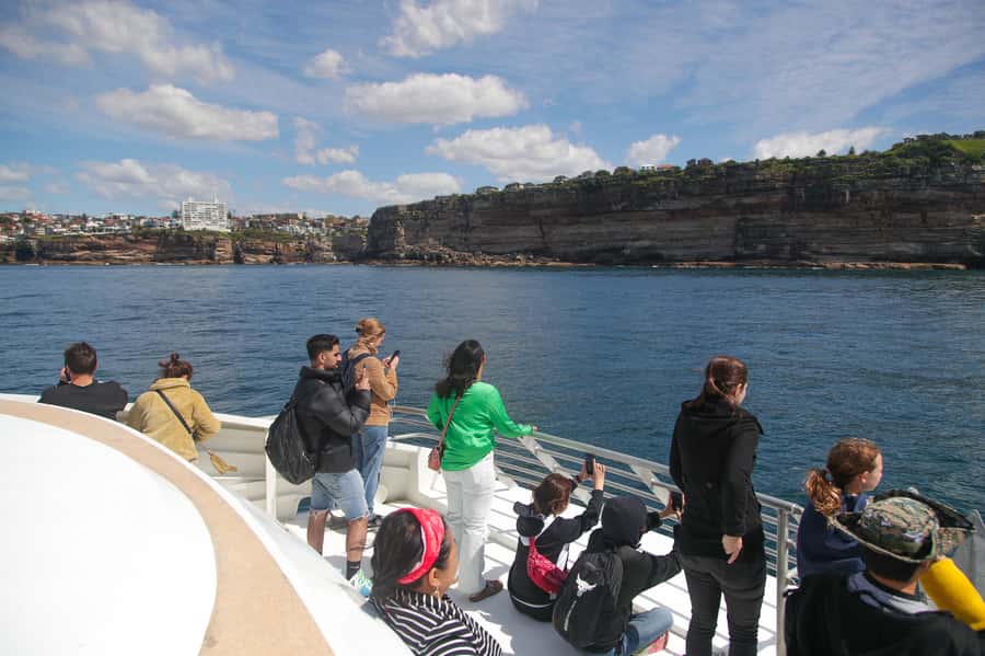 Sydney: Discovery Whale Watching Tour by Catamaran - Price and value: what $63 really buys in Sydney