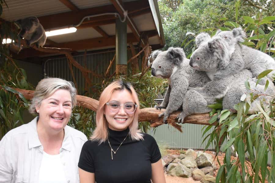 Sydney: Featherdale Wildlife Park Private Tour - Koalas, Wallabies, Wombats, and the Full Native Animal Mix